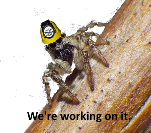 Read more about the article 2015 MBB is evolving..