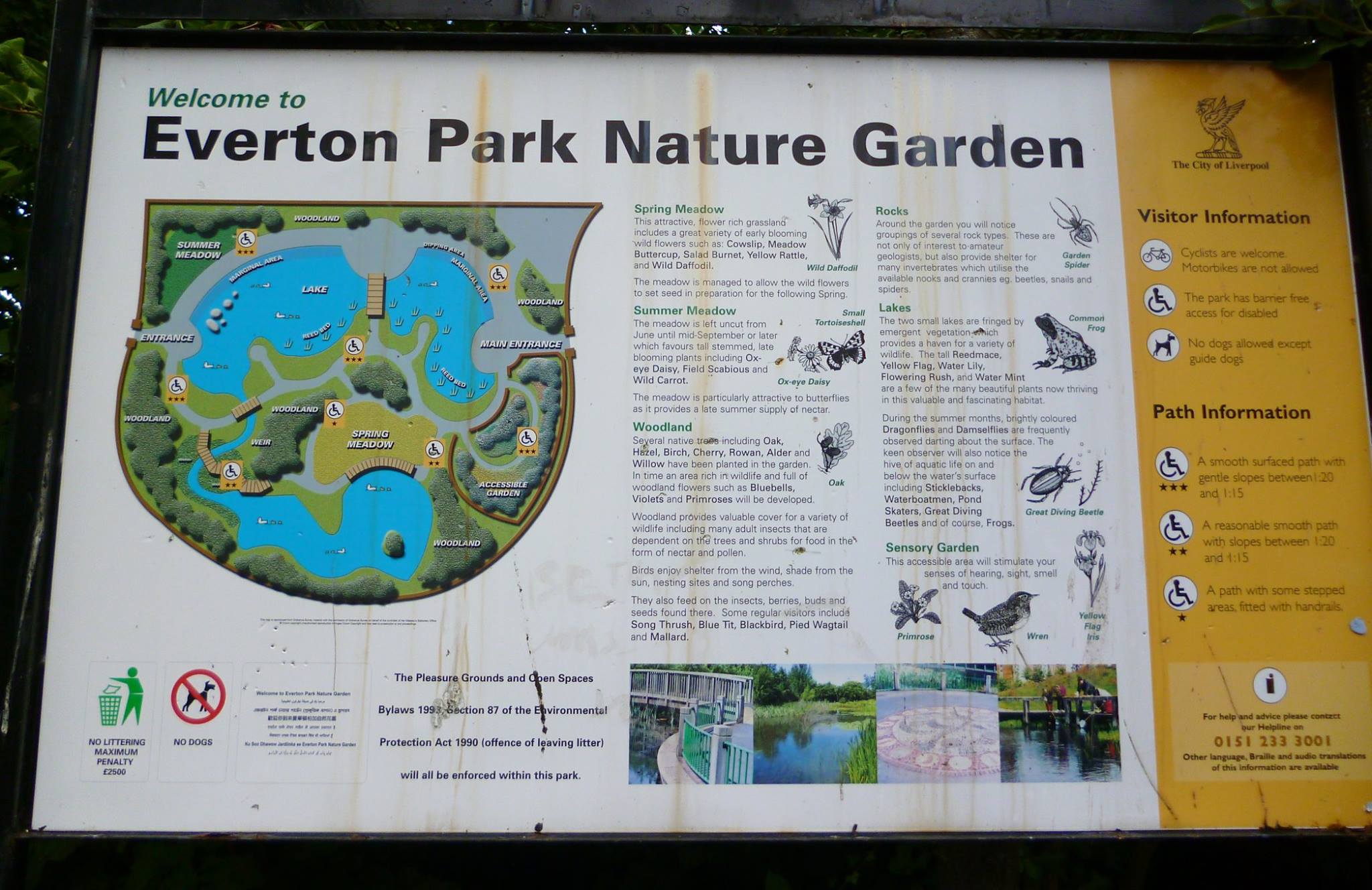 Photo Credit: Hugh Harris