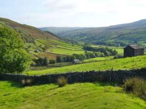 Read more about the article Hugh Harris: Muker Meadows