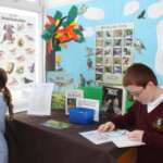 Holy Family Bird Display