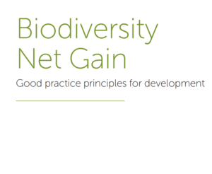 Read more about the article Launched: Biodiversity Net Gain – Principles and Guidance for UK Construction and Developments