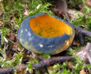 Read more about the article Tony Carter: A Mission to Ainsdale