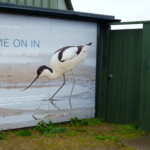 Avocet at Marshside (Hugh Harris)