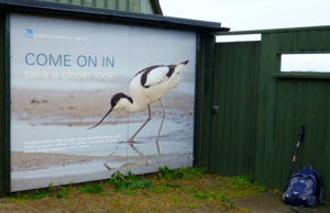 Read more about the article Hugh Harris: RSPB Marshside SD353205 – Jewel of the Ribble coast and wetlands