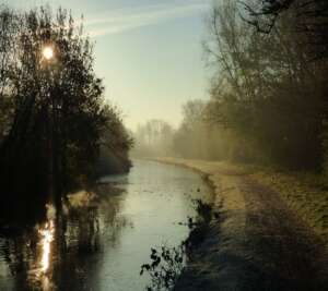 Read more about the article Rimrose Valley – A year in the life of a threatened wildlife site.