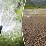 Drought (Hugh Harris)