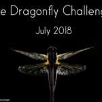 Dragon Hunter Challenge