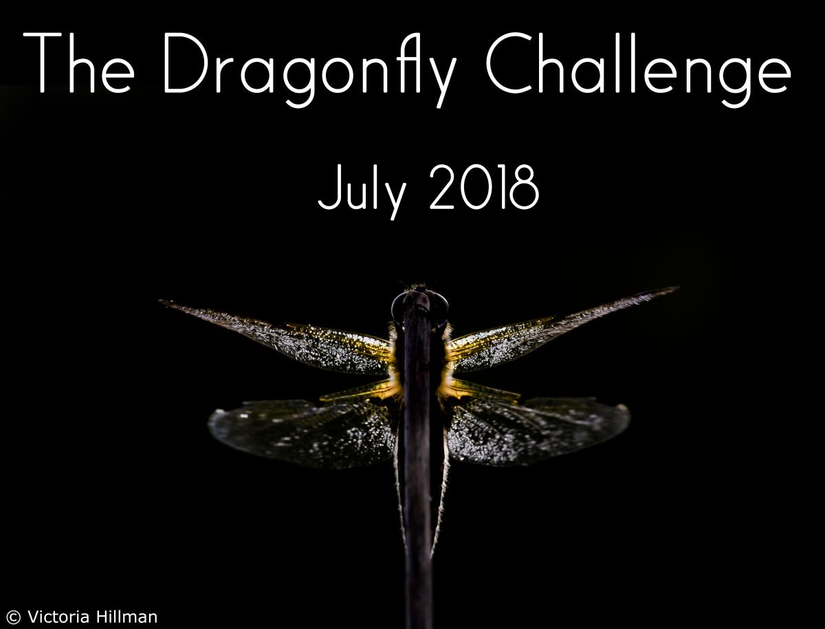 Dragon Hunter Challenge