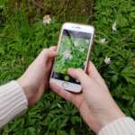 Submitting wildlife observations with iNaturalist is easy ! (Photo: Charlotte Varela)