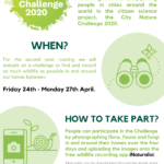 City Nature Challenge 2020 MBB Poster