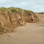 Dune erosion at Hightown after Storm Ciara (Photo: Dr Phil Smith)