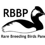 Rare Breeding Birds Panel