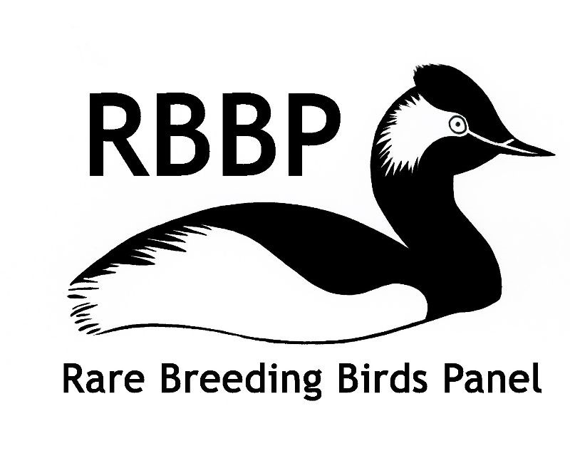 Rare Breeding Birds Panel