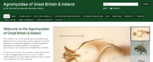 Read more about the article The National Agromyzidae Recording Scheme website launch