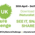 City Nature Challenge 2021
