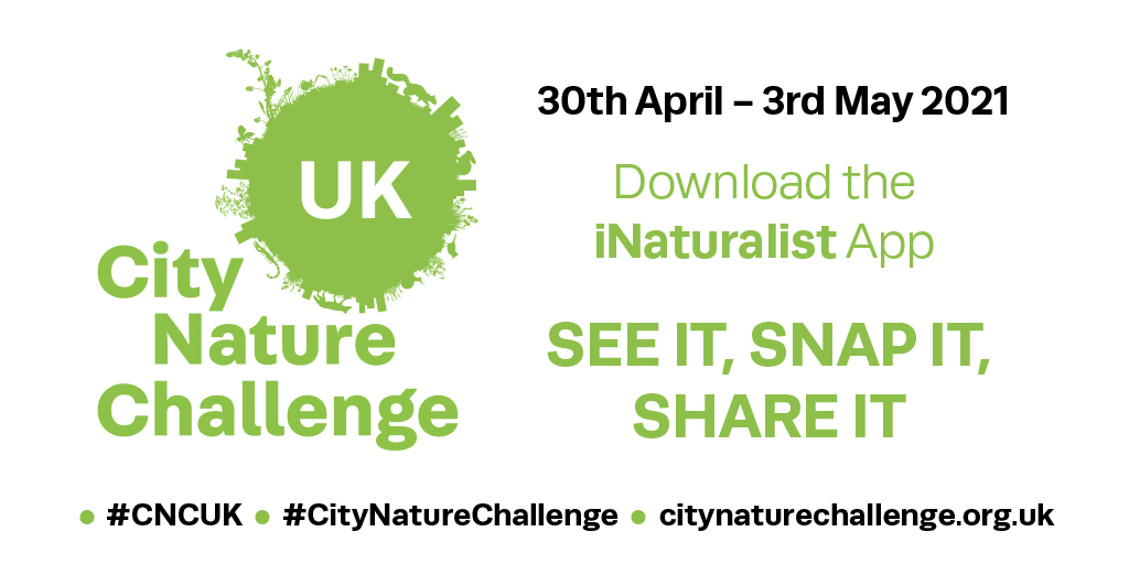 City Nature Challenge 2021