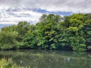 Read more about the article Local Sites: Critical to Nature Recovery
