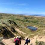 Volunteer - Ainsdale Beach LWS Surveying