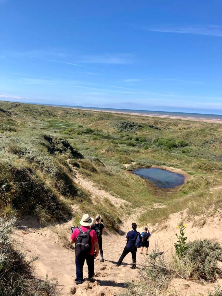 Read more about the article Engagement in Nature Liverpool City Region Survey