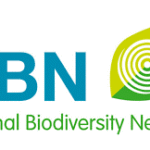 NBN LOGO