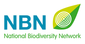 Read more about the article NBN Awards 2021