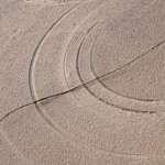 Marram Grass in Sand