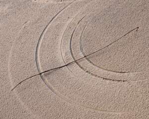 Read more about the article Dr Phil Smith Wildlife Notes: February